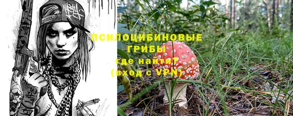 эйфоретик Белокуриха