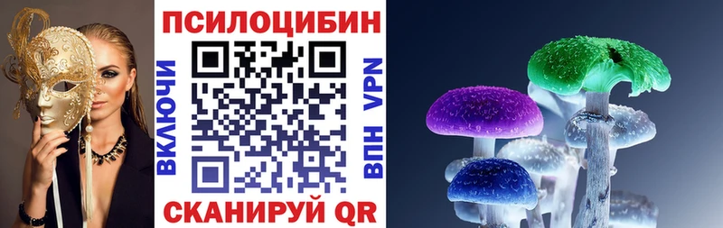 где продают наркотики Яхрома Псилоцибиновые грибы Psilocybe