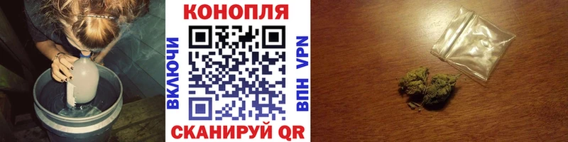 Конопля гибрид Яхрома