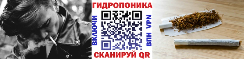 Шишки марихуана планчик Яхрома